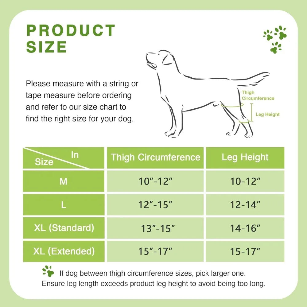 Genouière Orthopédique pour Chien – Soutien Articulaire Patte Arrière + Laisse 150 cm