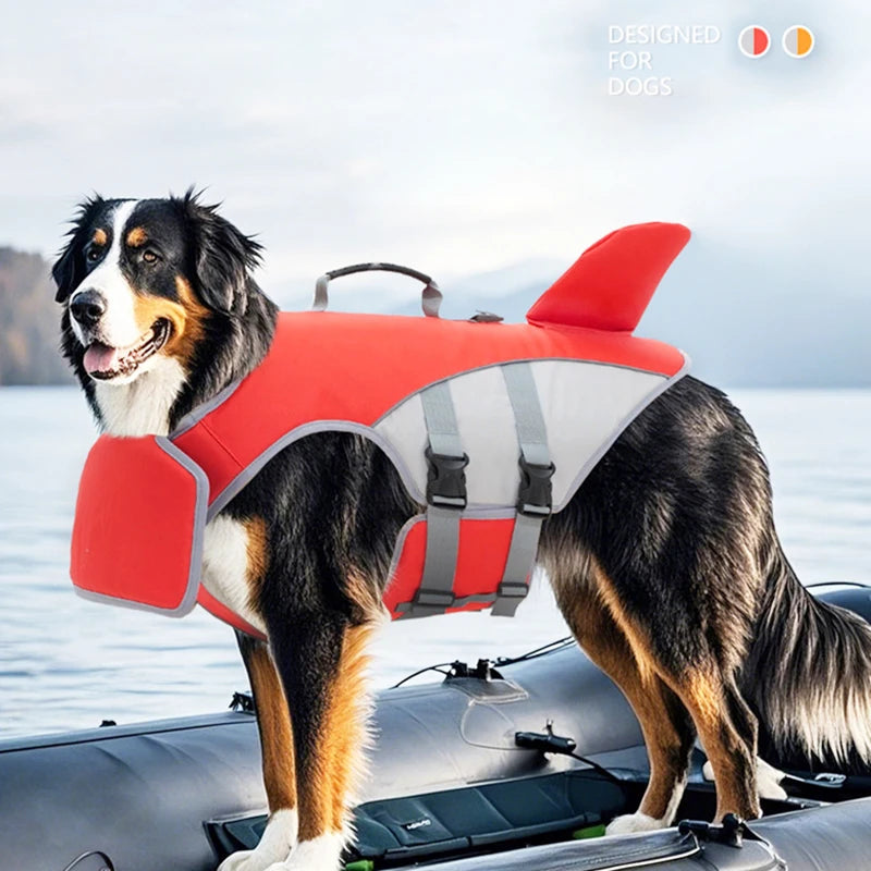 Gilet de Sauvetage Chien Aileron de Requin – Piscine, Plage & Kayak | S à XL