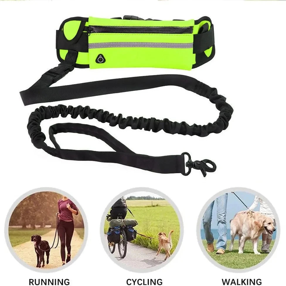 Laisse Mains Libres pour Chien – Ceinture Élastique Réfléchissante, Nylon