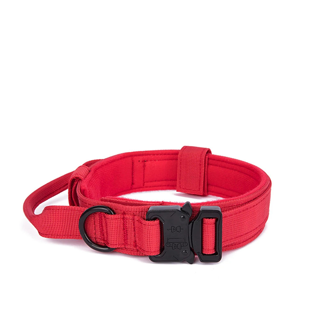 Ensemble Laisse & Collier Tactique pour Chien – Nylon Réfléchissant