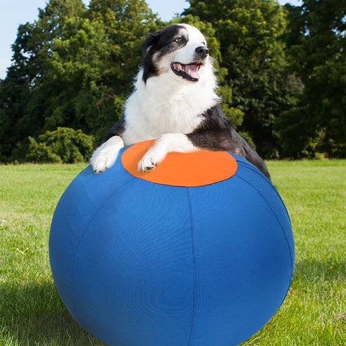 Balle interactive gonflable pour chien – Entraînement d’agilité en plein air