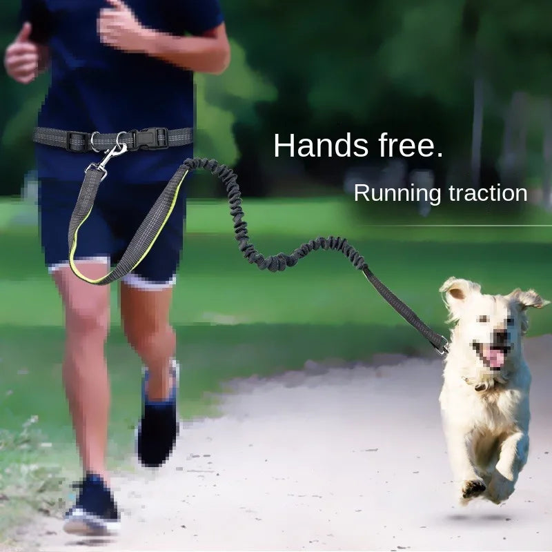 Laisse Mains Libres pour Chien – Ceinture de Taille Réglable, Course & Jogging