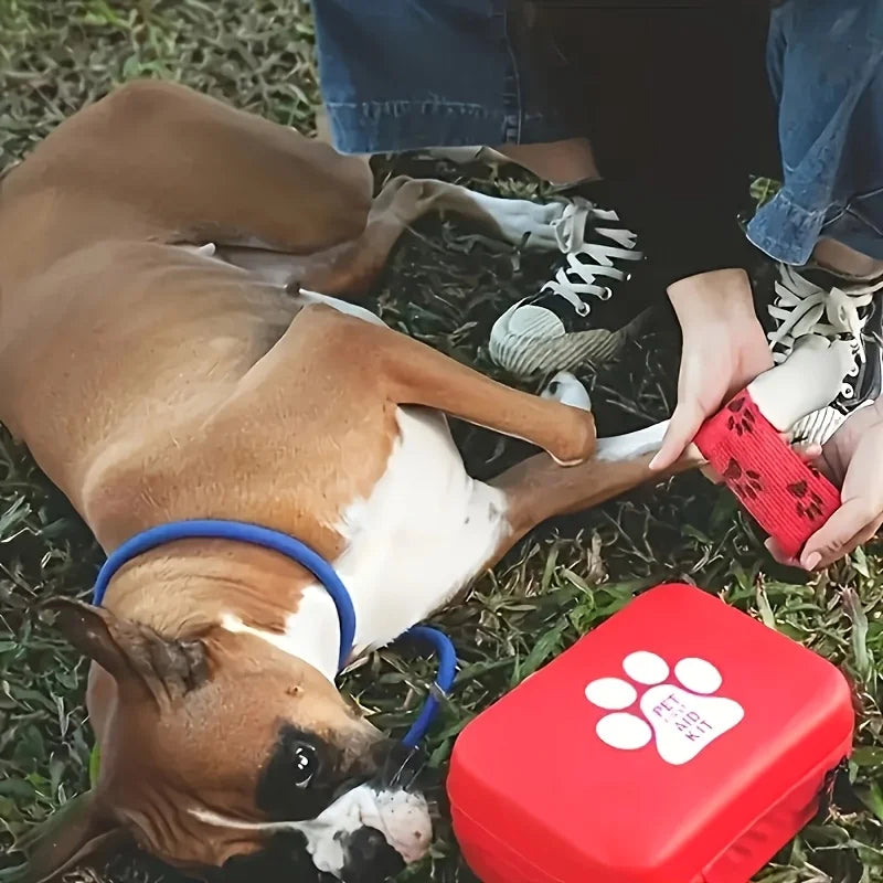 Trousse de Premiers Secours Chien et Chat – Portable, Camping & Randonnée