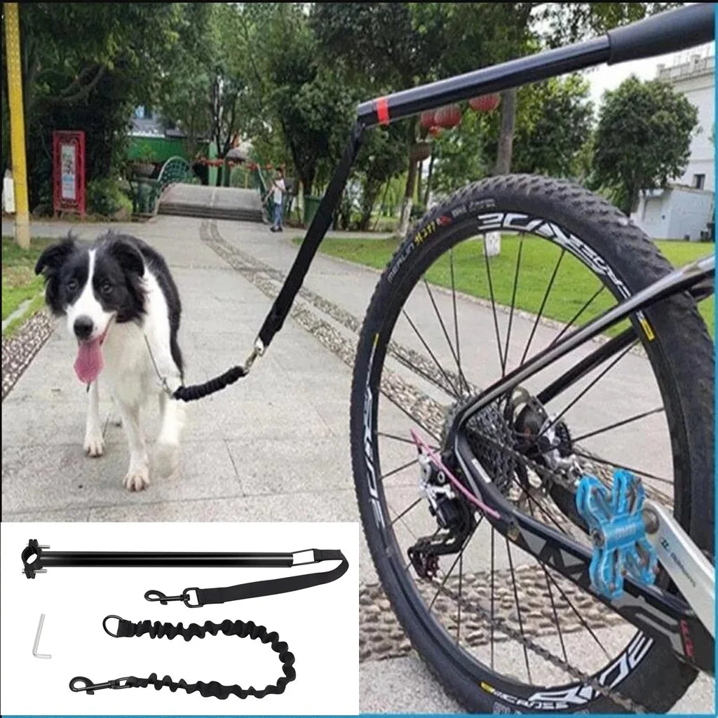 Laisse vélo pour chien