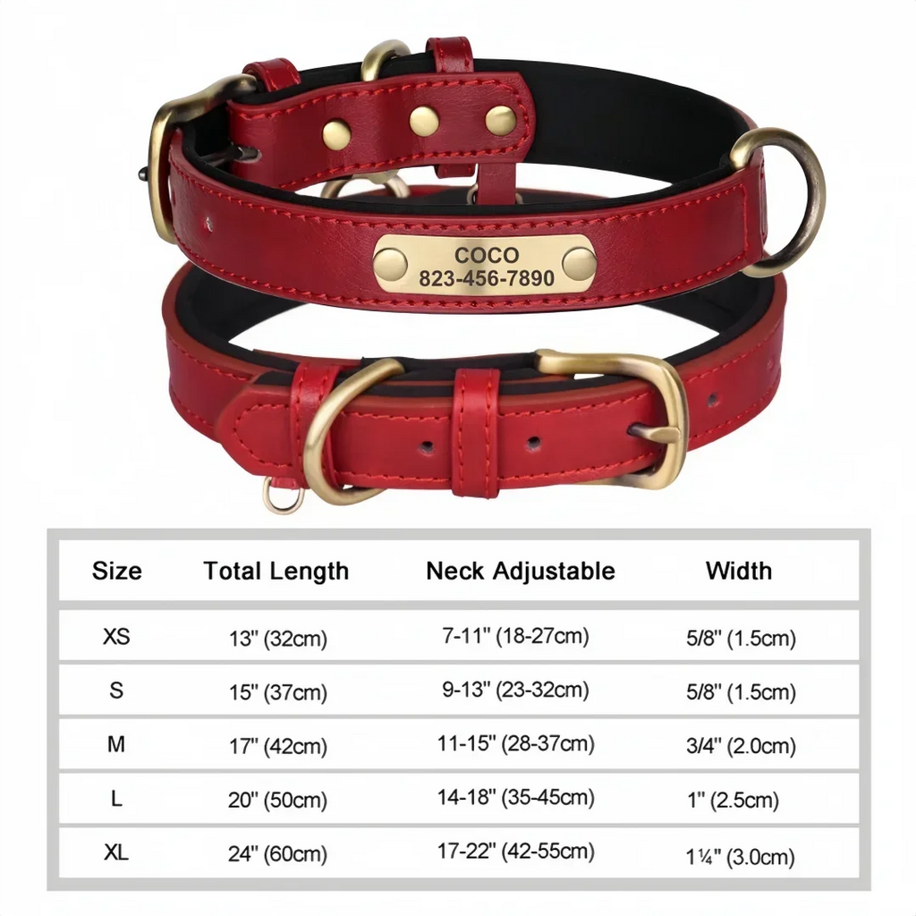Collier cuir PU personnalisé pour chien