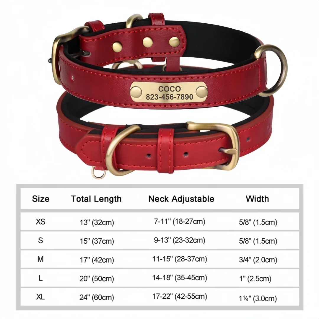 Collier cuir PU personnalisé pour chien