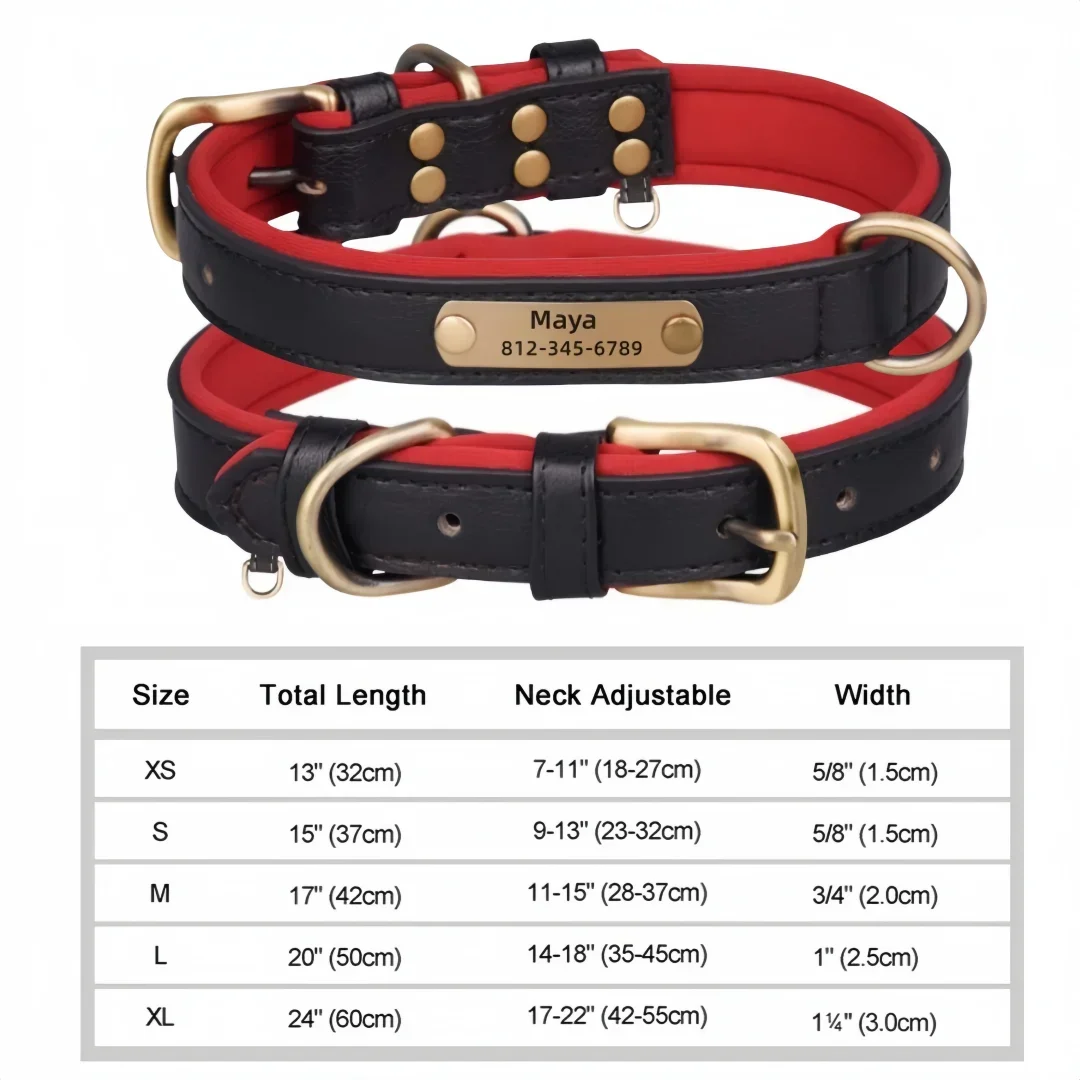 Collier cuir PU personnalisé pour chien