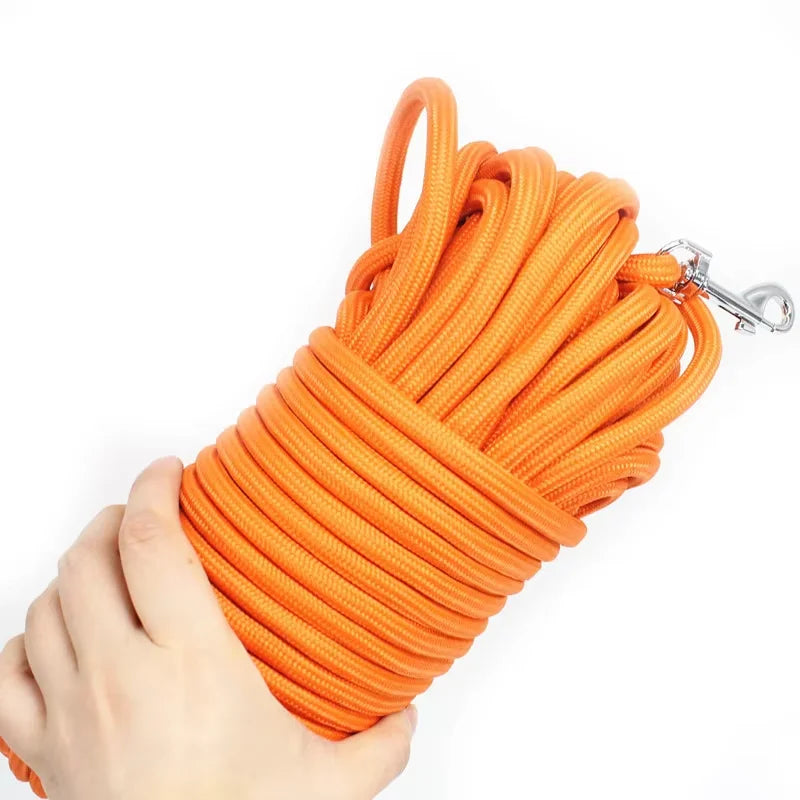 Laisse Longue pour Chien – Nylon Tressé Absorbant les Chocs, 5m / 10m / 15m