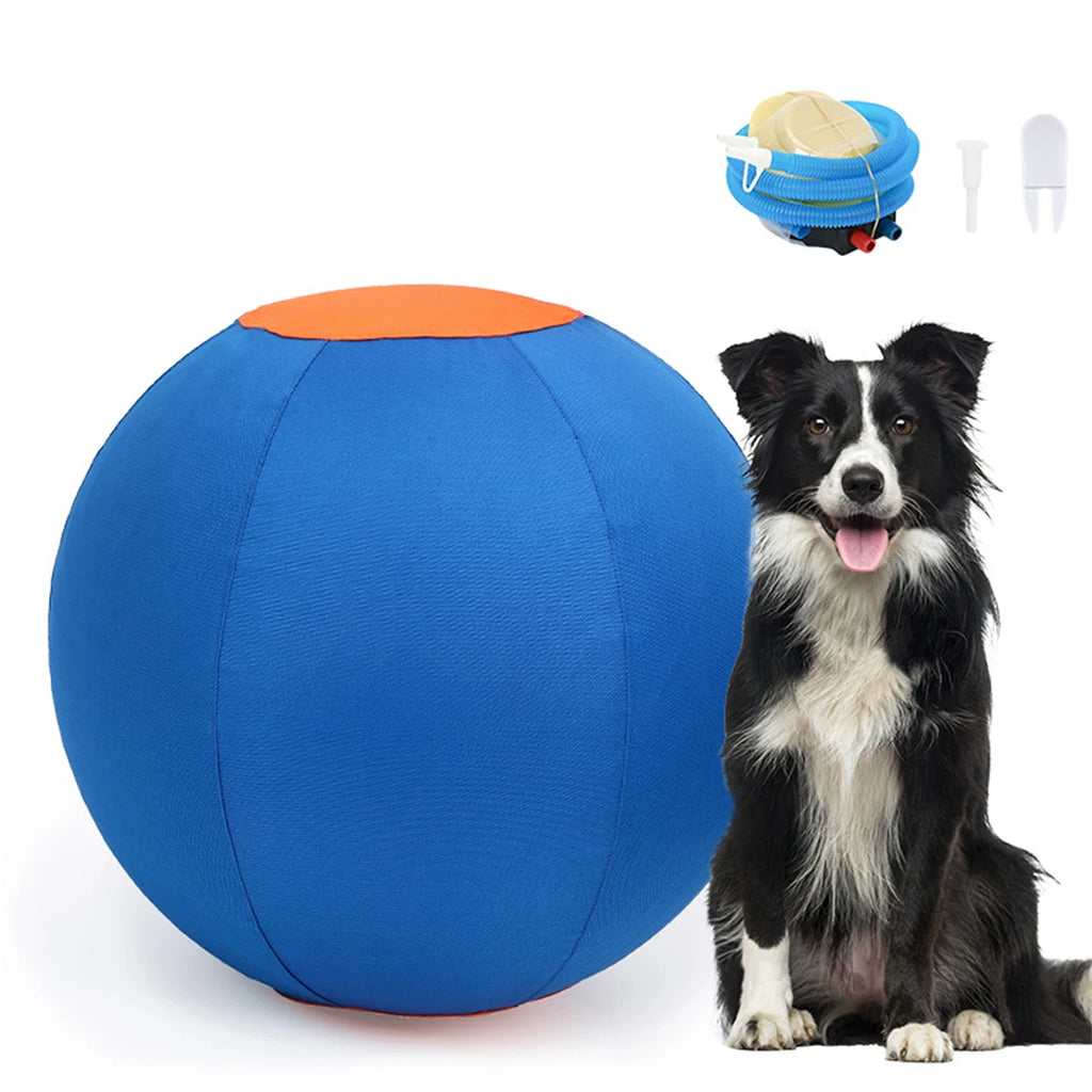 Balle interactive gonflable pour chien – Entraînement d’agilité en plein air