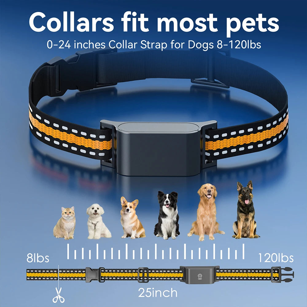 Collier GPS Étanche IP67 Sans Abonnement