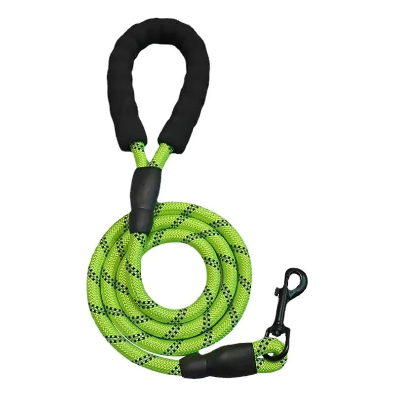 Laisse Réfléchissante pour Chien – Nylon Séparable, Toutes Tailles