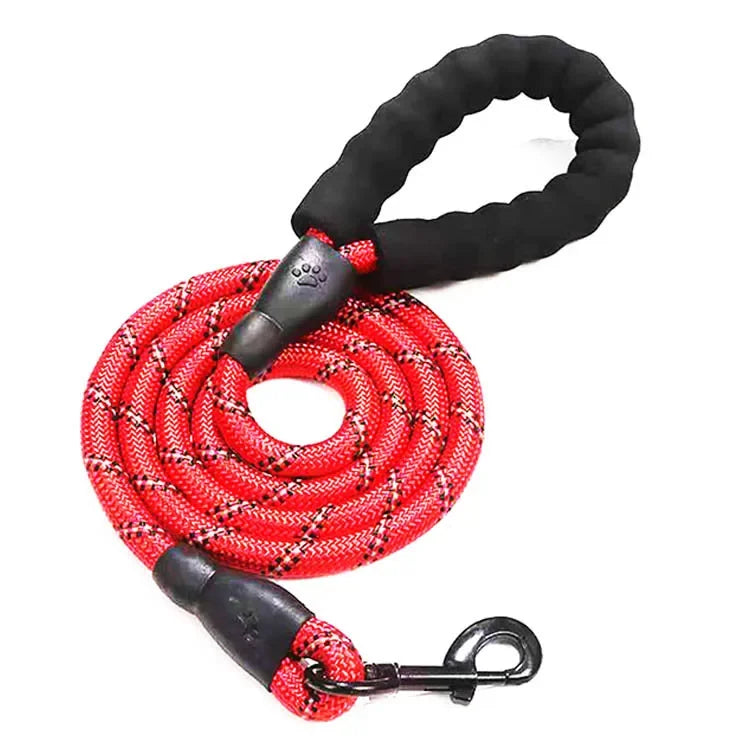 Laisse Réfléchissante pour Chien – Nylon Séparable, Toutes Tailles