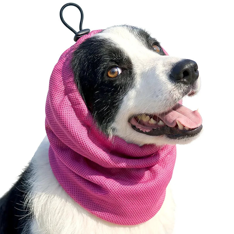 Bandana Rafraîchissant pour Chien – Protection Solaire, Réutilisable, S/M/L