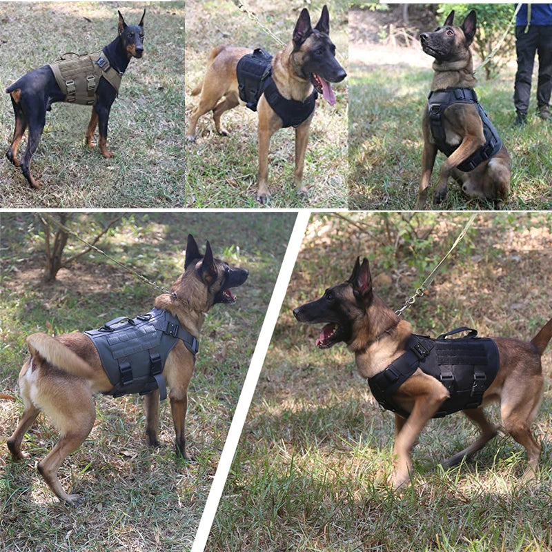 Harnais Tactique Militaire pour Chien – Gilet MOLLE + Laisse, S à XL