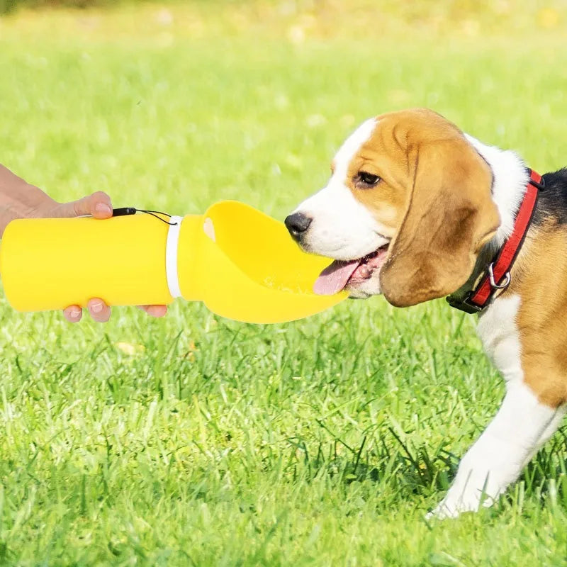 Bouteille d'eau pour chien pliable – Distributeur portable anti-fuite 550 ml