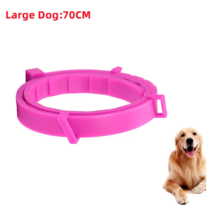 Collier Anti-Puces & Tiques Chien et Chat – Protection Naturelle 8 Mois, Citronnelle