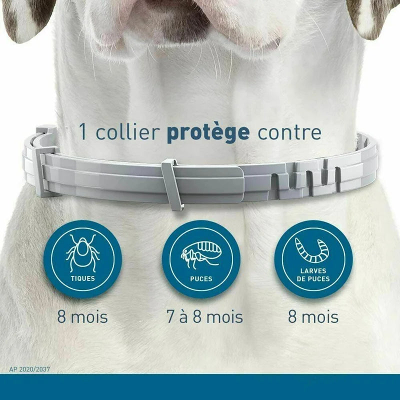 Collier Anti-Puces & Tiques Chien et Chat – Protection Naturelle 8 Mois, Citronnelle