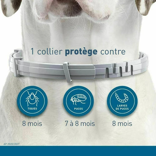 Collier Anti-Puces & Tiques Chien et Chat – Protection Naturelle 8 Mois, Citronnelle
