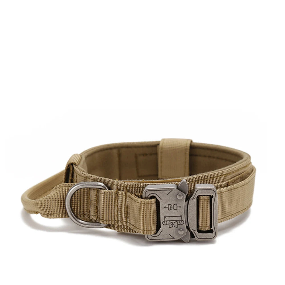 Ensemble Laisse & Collier Tactique pour Chien – Nylon Réfléchissant