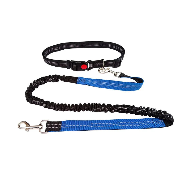 Laisse Mains Libres pour Chien – Ceinture de Taille Réglable, Course & Jogging
