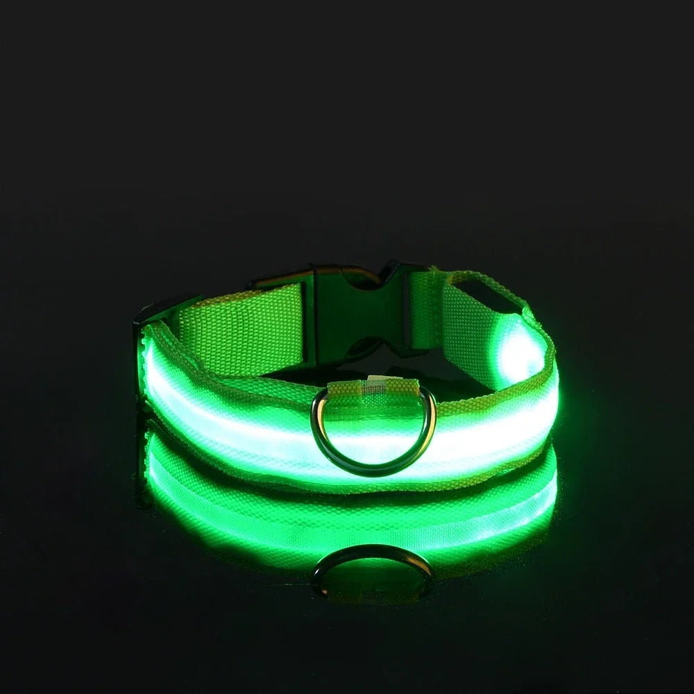 Collier LED Lumineux pour Chien – Sécurité Nocturne, Nylon, 5 Tailles