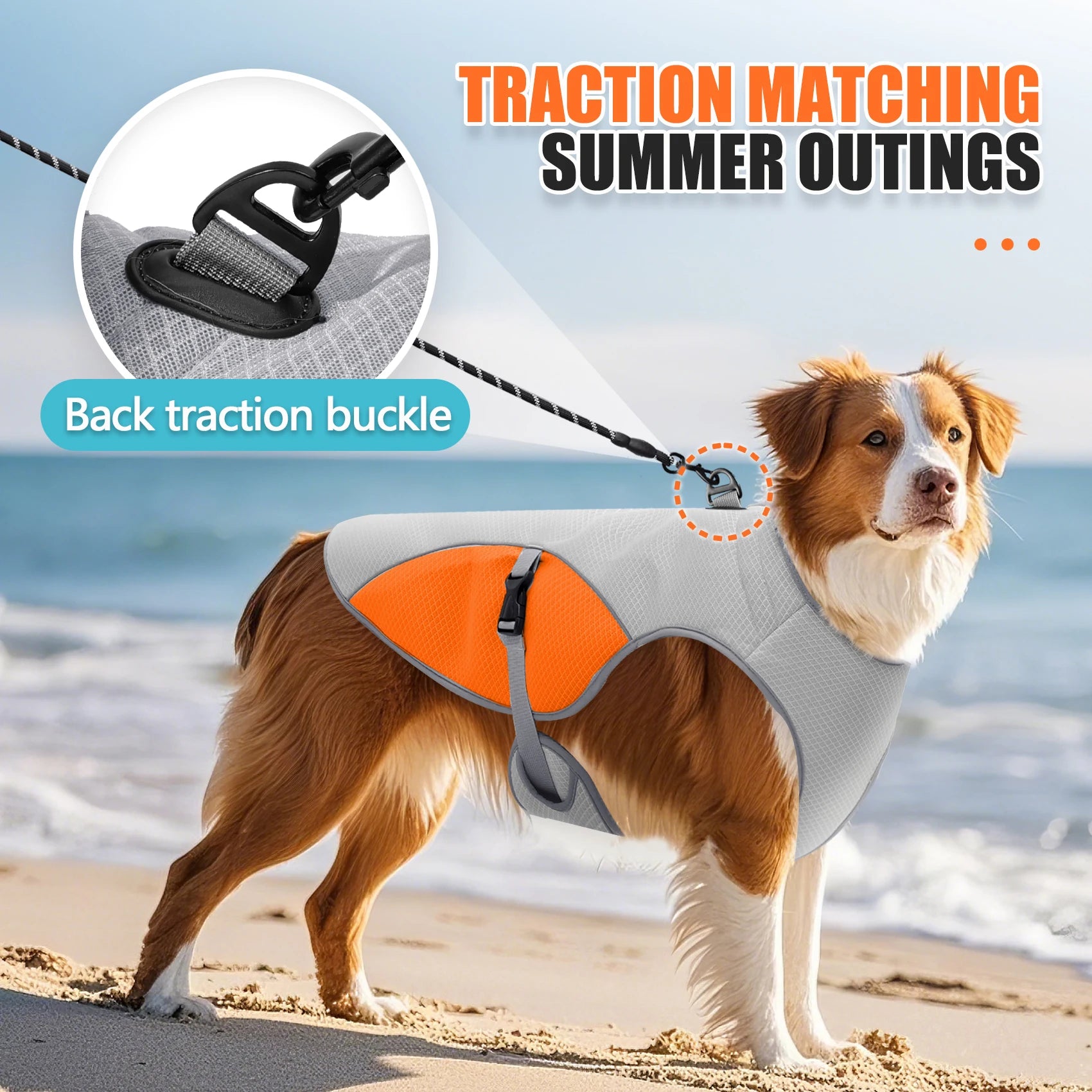 Gilet de Refroidissement pour Chien – Harnais Veste Fraîche avec Bouteille d'Eau Portable