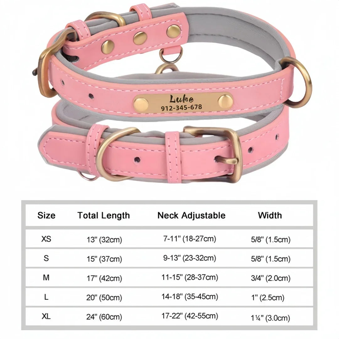 Collier cuir PU personnalisé pour chien