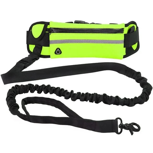 Laisse Mains Libres pour Chien – Ceinture Élastique Réfléchissante, Nylon