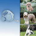 Laisse Rétractable avec Lampe & Distributeur pour Chien