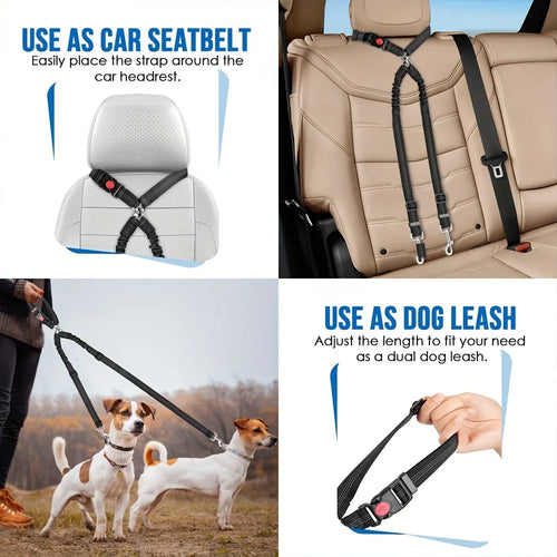 Ceinture de sécurité double pour petit chien