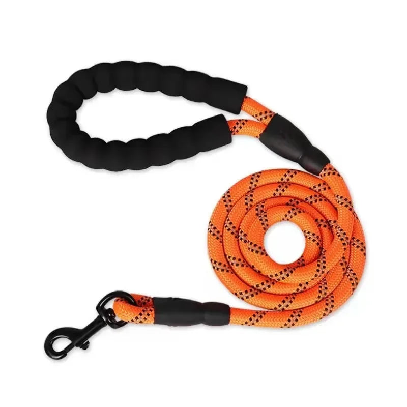 Laisse Réfléchissante pour Chien – Nylon Séparable, Toutes Tailles