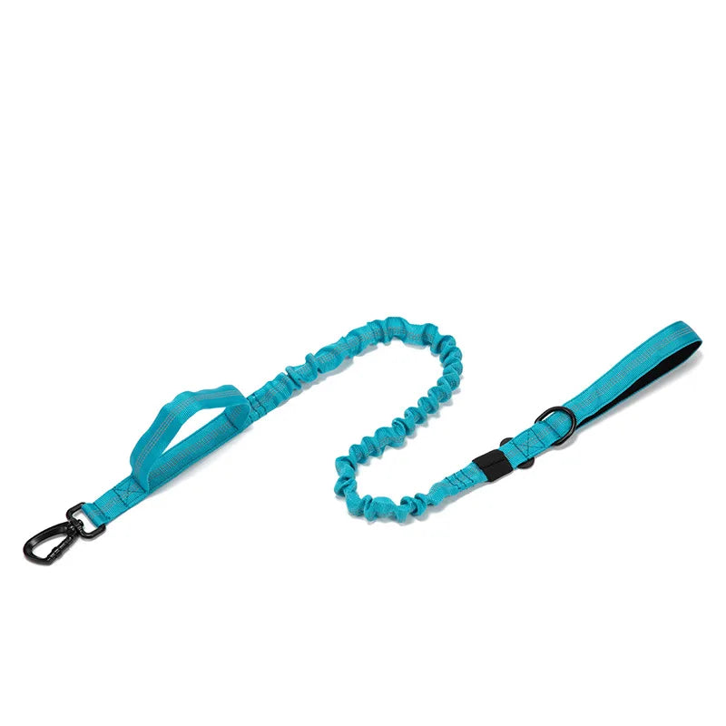 Ensemble Laisse & Collier Tactique pour Chien – Nylon Réfléchissant