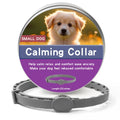 Collier Anti-Puces & Tiques Chien et Chat – Protection Naturelle 8 Mois, Citronnelle