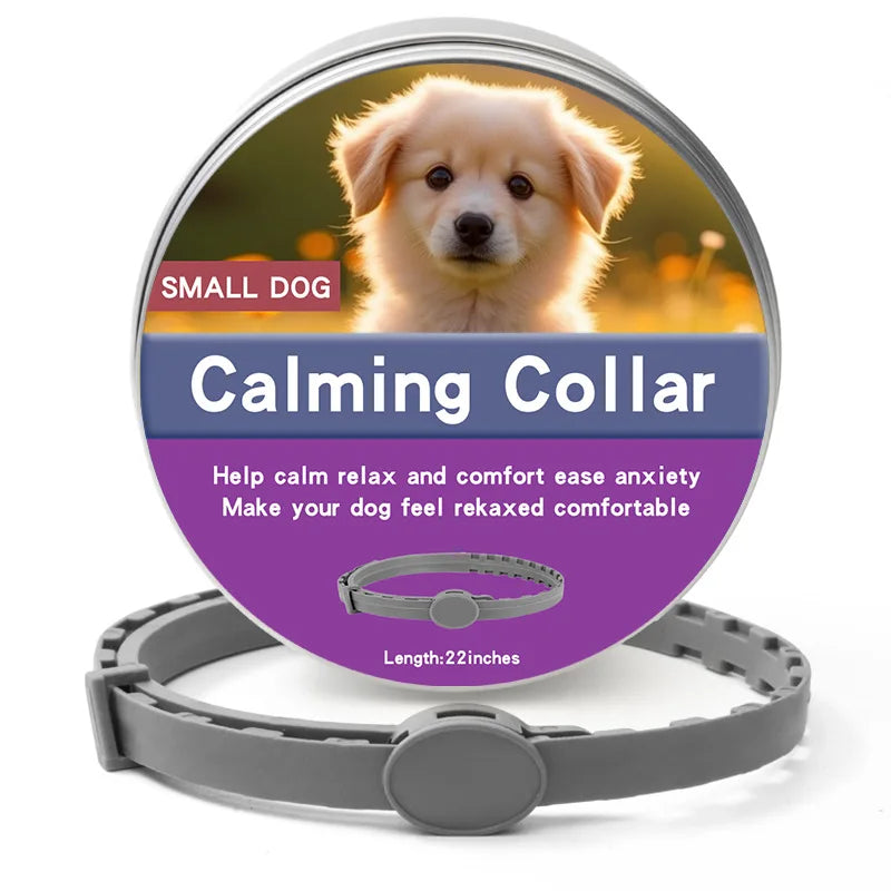 Collier Anti-Puces & Tiques Chien et Chat – Protection Naturelle 8 Mois, Citronnelle