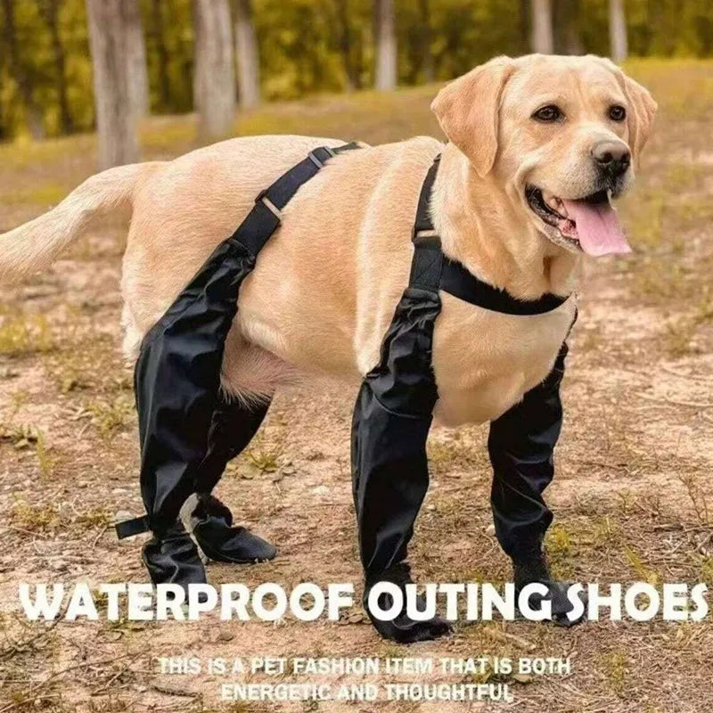 Bottes antidérapantes pour chien, protège-pattes