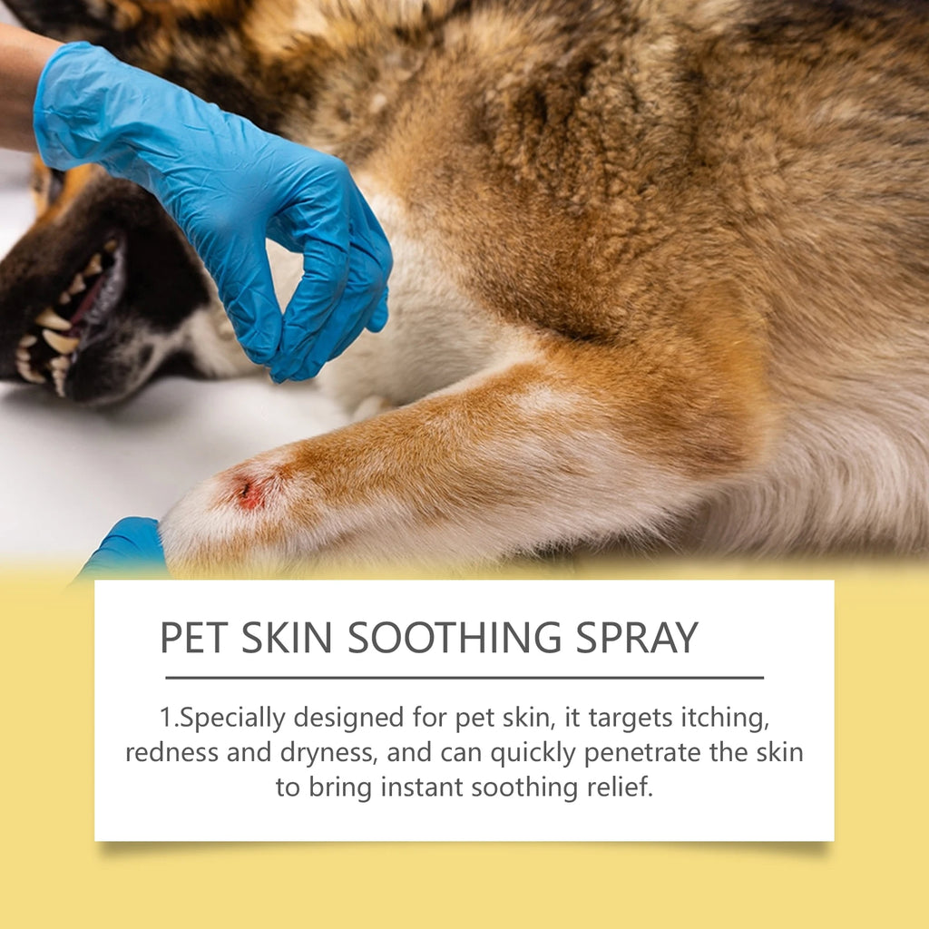 Spray Soin de la Peau pour Chien  – Anti-Démangeaisons, Régénérant, 50 ml