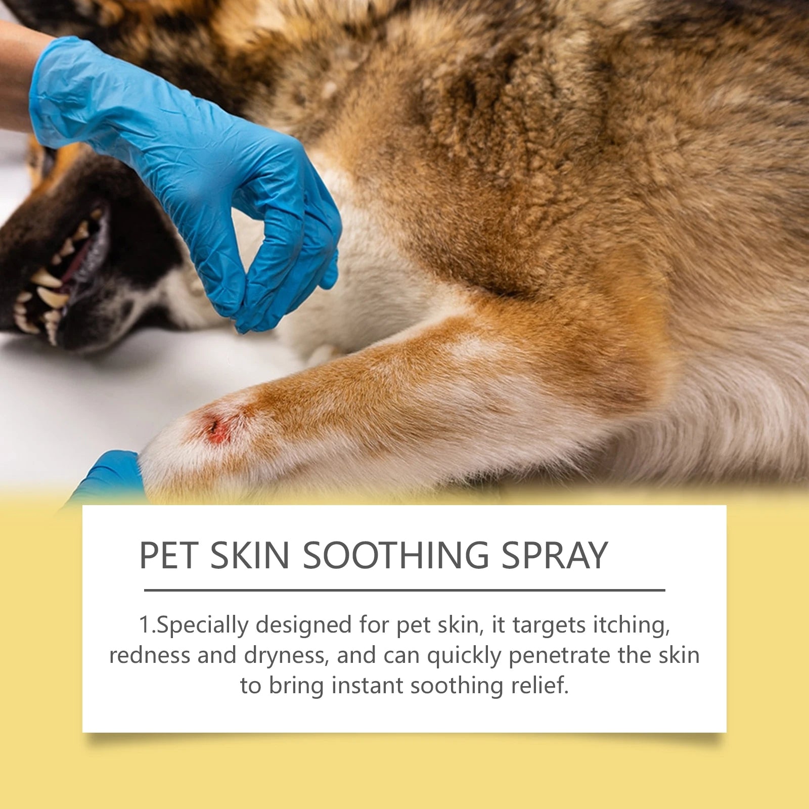 Spray Soin de la Peau pour Chien  – Anti-Démangeaisons, Régénérant, 50 ml