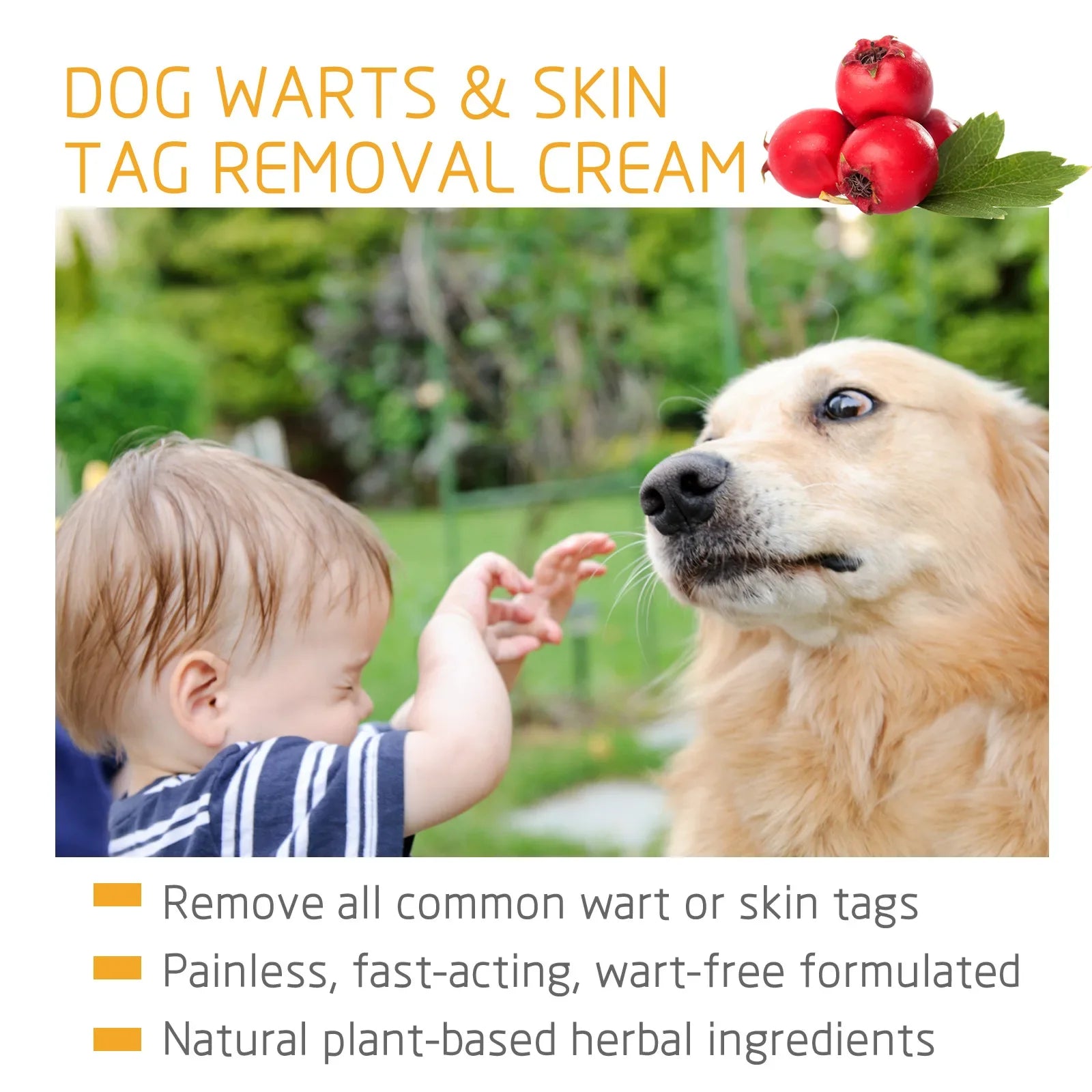 Crème Soin de la Peau pour Chien – Anti-Verrues & Papillomes, Formule Naturelle, 20 g