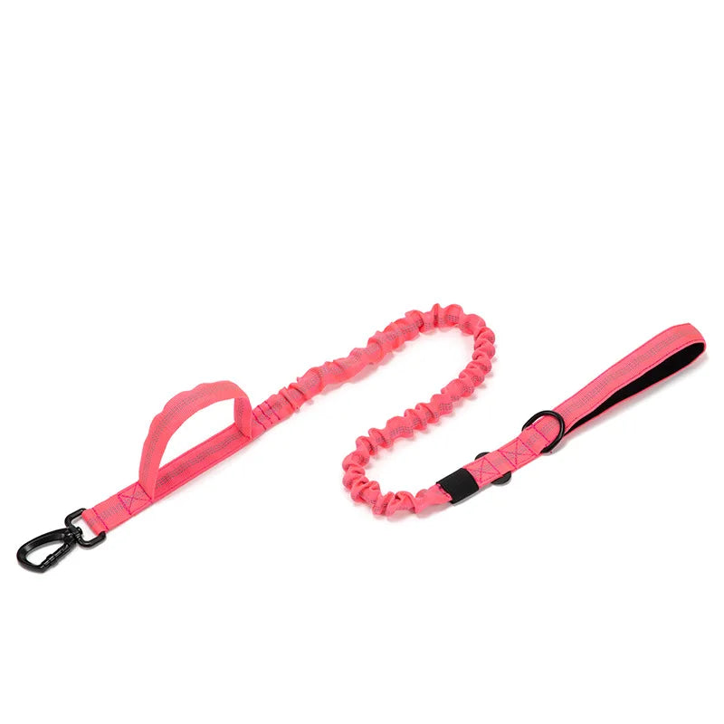 Ensemble Laisse & Collier Tactique pour Chien – Nylon Réfléchissant