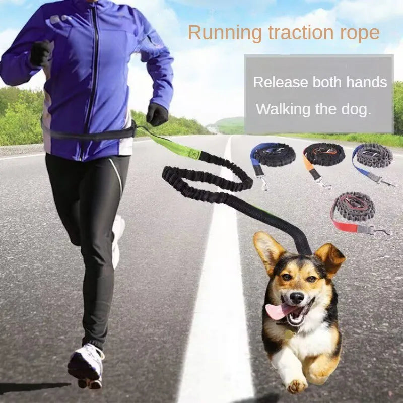 Laisse Mains Libres pour Chien – Ceinture de Taille Réglable, Course & Jogging