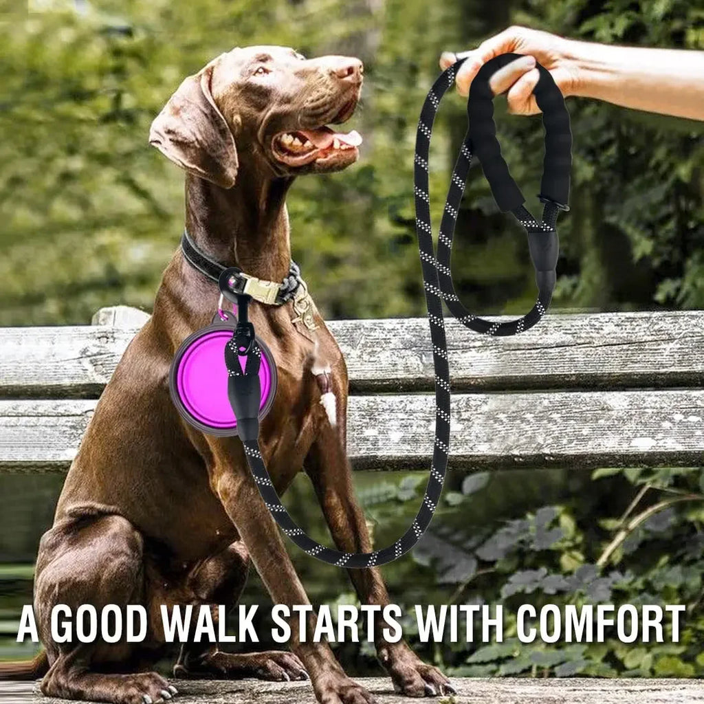 Laisse Réfléchissante pour Chien – Nylon Séparable, Toutes Tailles