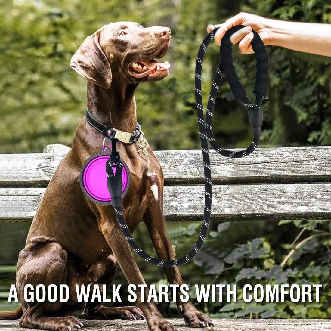 Laisse Réfléchissante pour Chien – Nylon Séparable, Toutes Tailles