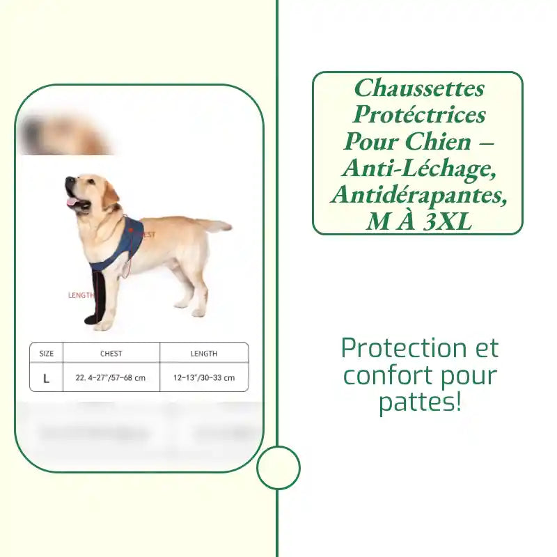 Chaussettes Prot&eacute;ctrices pour Chien &ndash; Anti-L&eacute;chage, Antid&eacute;rapantes, M &agrave; 3XL by@Outfy