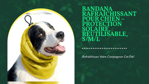 Bandana Rafra&icirc;chissant pour Chien &ndash; Protection Solaire, R&eacute;utilisable, S/M/L by@Outfy