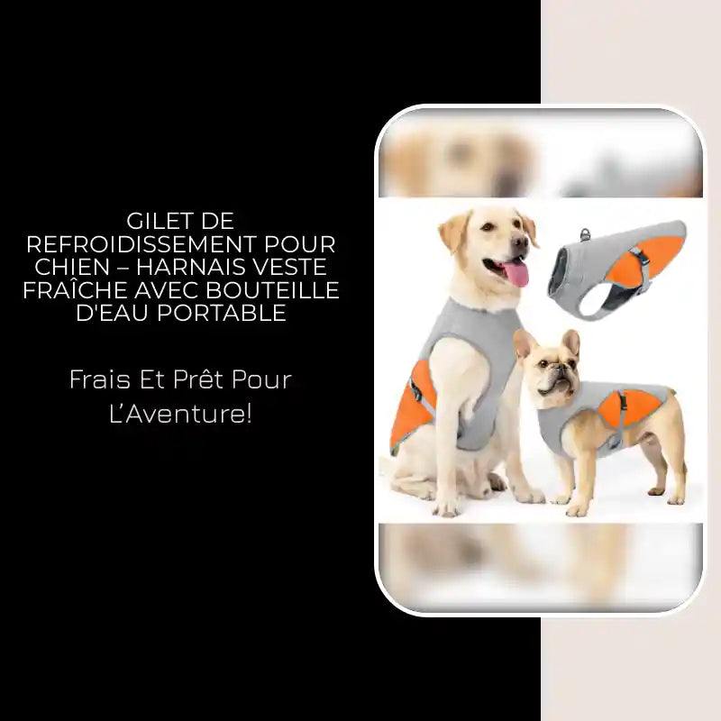 Gilet de Refroidissement pour Chien &ndash; Harnais Veste Fra&icirc;che avec Bouteille d'Eau Portable by@Outfy