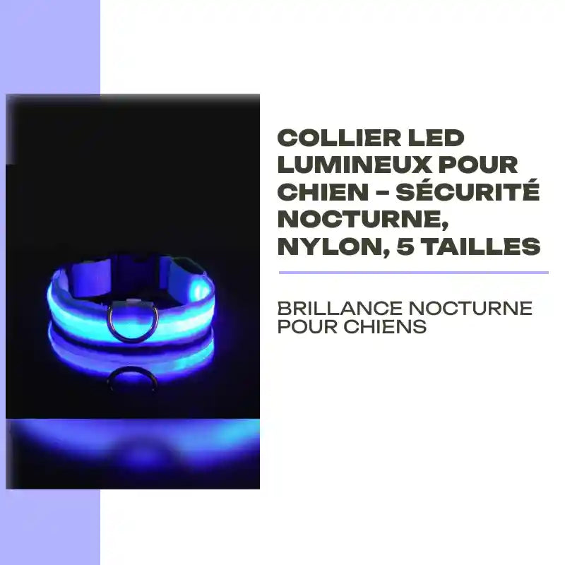 Collier LED Lumineux pour Chien &ndash; S&eacute;curit&eacute; Nocturne, Nylon, 5 Tailles by@Outfy
