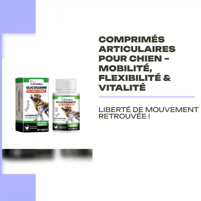 Comprim&eacute;s Articulaires pour Chien &ndash; Mobilit&eacute;, Flexibilit&eacute; &amp; Vitalit&eacute; by@Outfy