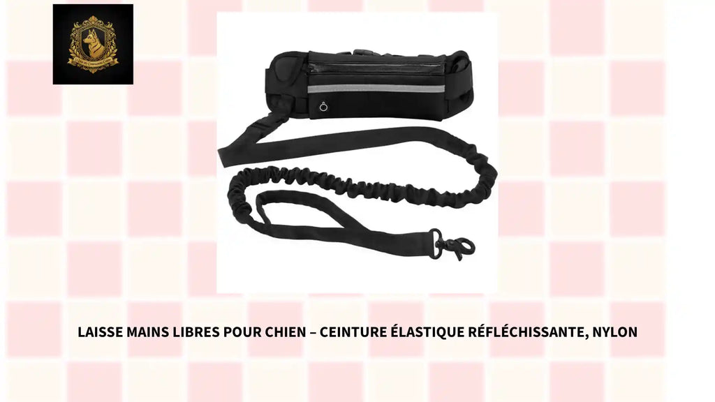 Laisse Mains Libres pour Chien &ndash; Ceinture &Eacute;lastique R&eacute;fl&eacute;chissante, Nylon by@Outfy