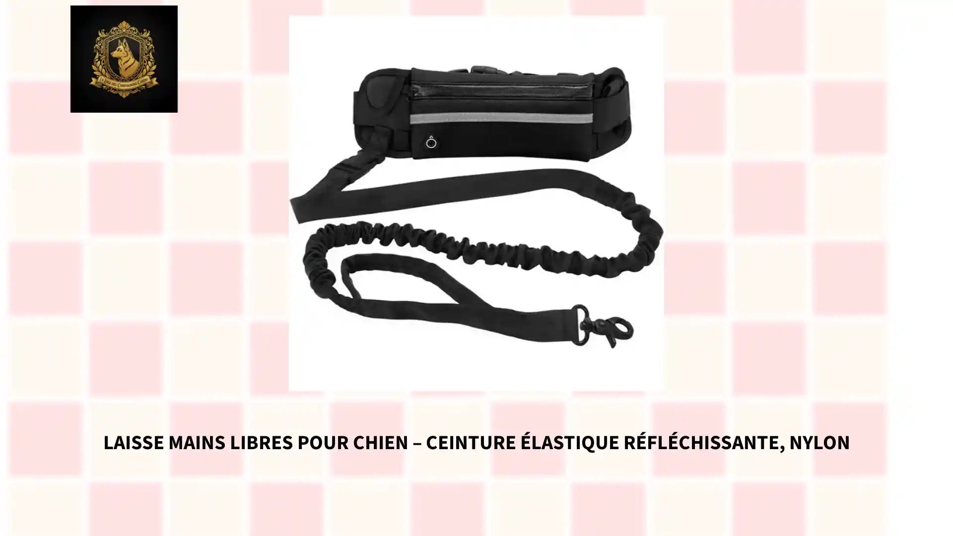 Laisse Mains Libres pour Chien &ndash; Ceinture &Eacute;lastique R&eacute;fl&eacute;chissante, Nylon by@Outfy