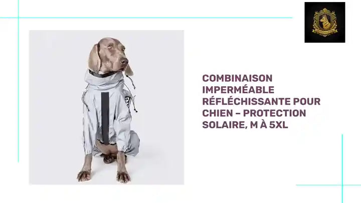 Combinaison Imperm&eacute;able R&eacute;fl&eacute;chissante pour Chien &ndash; Protection Solaire, M &agrave; 5XL by@Outfy